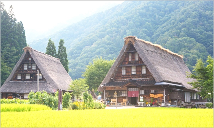 白川郷火災の原因